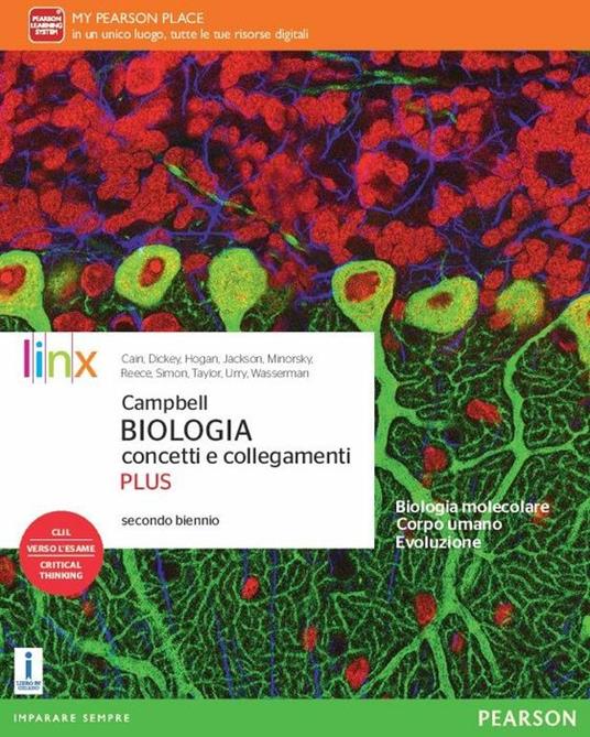 Campbell. Biologia. Concetti e collegamenti - ed. plus Online Hot Sale