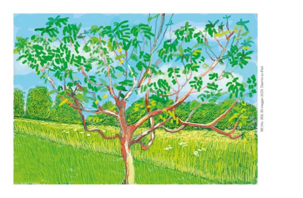 David Hockney - L arrivo della primavera, Normandia For Cheap