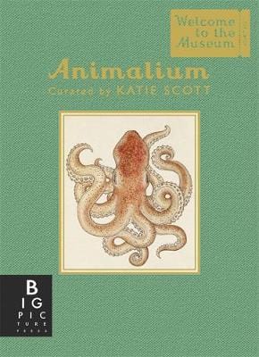 Katie Scott: Animalium (Mini Gift Edition) [2016] hardback Online Sale